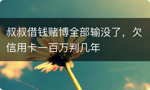 叔叔借钱赌博全部输没了，欠信用卡一百万判几年
