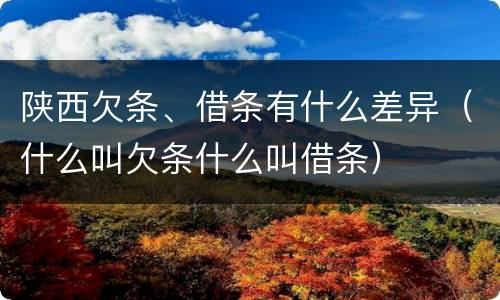 陕西欠条、借条有什么差异（什么叫欠条什么叫借条）