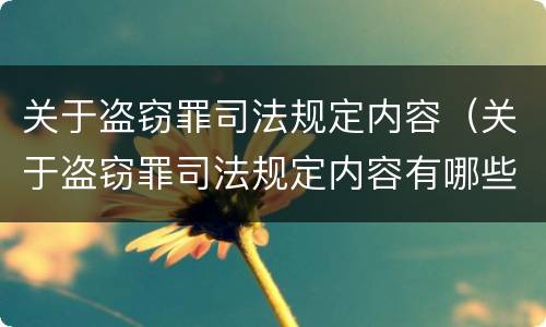 关于盗窃罪司法规定内容（关于盗窃罪司法规定内容有哪些）