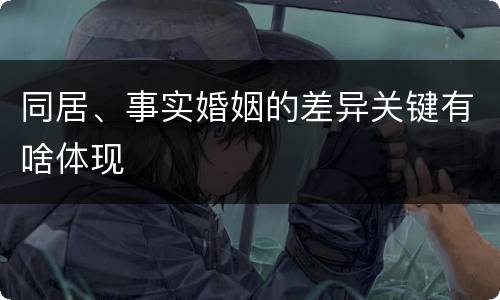 同居、事实婚姻的差异关键有啥体现