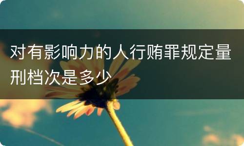 对有影响力的人行贿罪规定量刑档次是多少