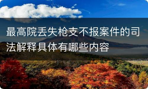 最高院丢失枪支不报案件的司法解释具体有哪些内容