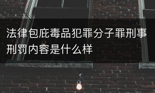 法律包庇毒品犯罪分子罪刑事刑罚内容是什么样