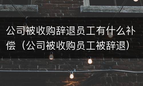 公司被收购辞退员工有什么补偿（公司被收购员工被辞退）