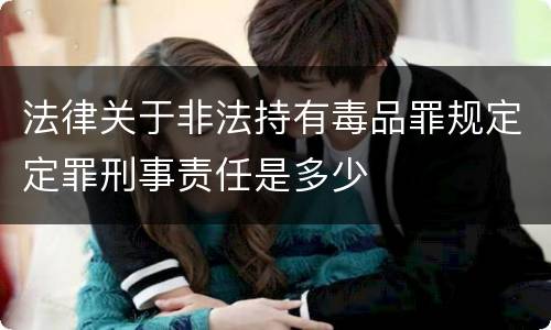 法律关于非法持有毒品罪规定定罪刑事责任是多少