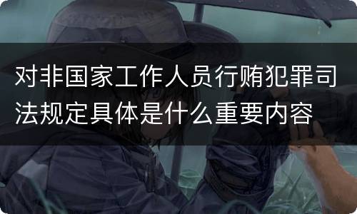 对非国家工作人员行贿犯罪司法规定具体是什么重要内容