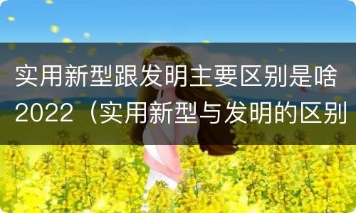 实用新型跟发明主要区别是啥2022（实用新型与发明的区别有哪些）