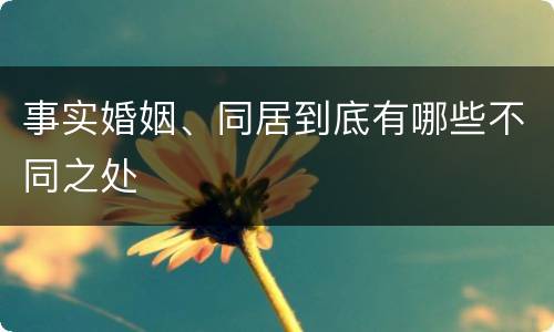 事实婚姻、同居到底有哪些不同之处