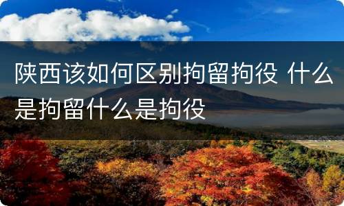 陕西该如何区别拘留拘役 什么是拘留什么是拘役