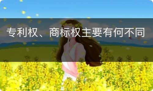 专利权、商标权主要有何不同