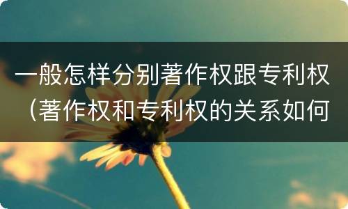 一般怎样分别著作权跟专利权（著作权和专利权的关系如何）