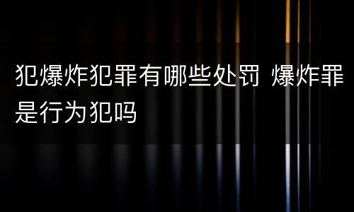 犯爆炸犯罪有哪些处罚 爆炸罪是行为犯吗