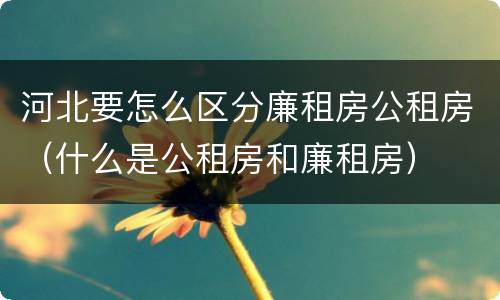 河北要怎么区分廉租房公租房（什么是公租房和廉租房）