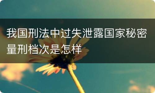 我国刑法中过失泄露国家秘密量刑档次是怎样