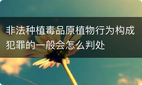 非法种植毒品原植物行为构成犯罪的一般会怎么判处