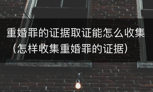 重婚罪的证据取证能怎么收集（怎样收集重婚罪的证据）