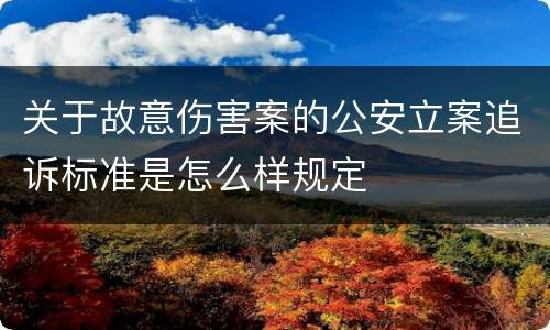 关于故意伤害案的公安立案追诉标准是怎么样规定