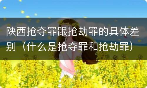 陕西抢夺罪跟抢劫罪的具体差别（什么是抢夺罪和抢劫罪）