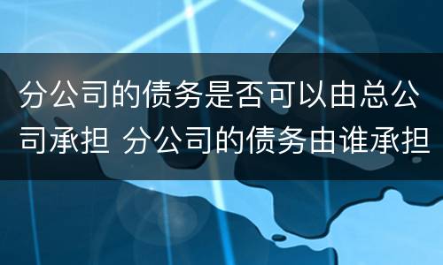 分公司的债务是否可以由总公司承担 分公司的债务由谁承担