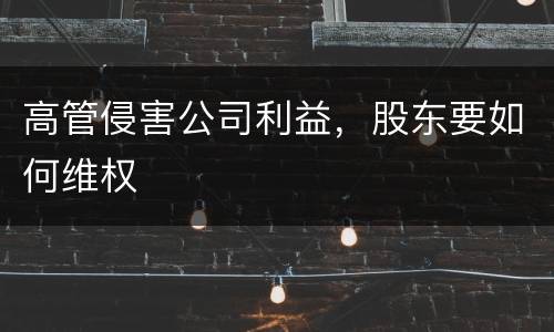 高管侵害公司利益，股东要如何维权
