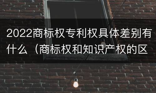 2022商标权专利权具体差别有什么（商标权和知识产权的区别）