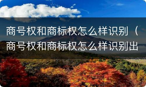商号权和商标权怎么样识别（商号权和商标权怎么样识别出来）