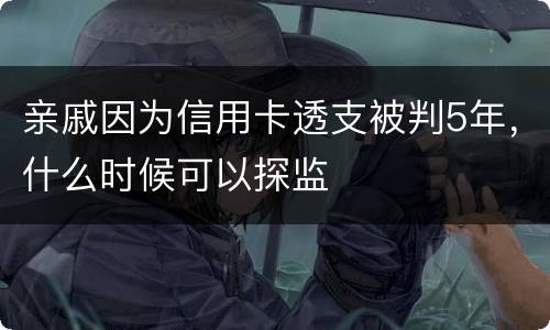 亲戚因为信用卡透支被判5年，什么时候可以探监