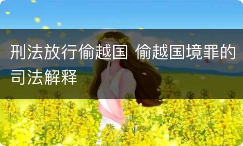 刑法放行偷越国 偷越国境罪的司法解释
