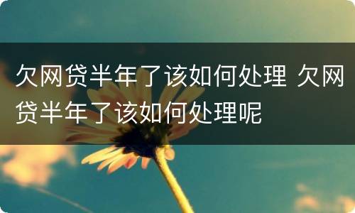 欠网贷半年了该如何处理 欠网贷半年了该如何处理呢