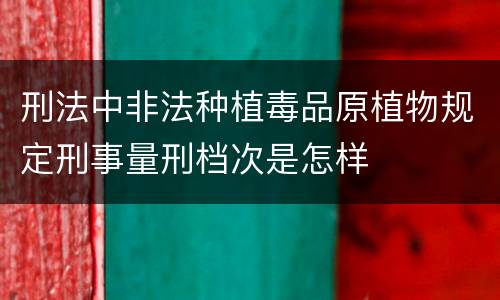 刑法中非法种植毒品原植物规定刑事量刑档次是怎样