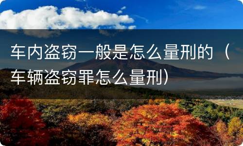 车内盗窃一般是怎么量刑的（车辆盗窃罪怎么量刑）