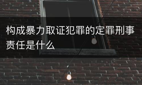 构成暴力取证犯罪的定罪刑事责任是什么