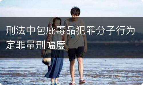 刑法中包庇毒品犯罪分子行为定罪量刑幅度