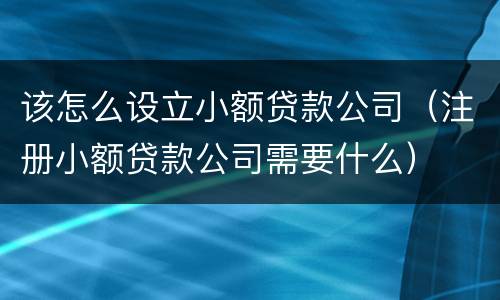 该怎么设立小额贷款公司（注册小额贷款公司需要什么）