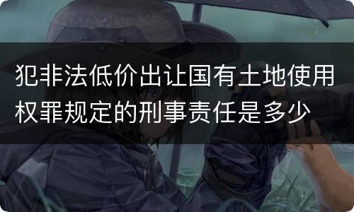 犯非法低价出让国有土地使用权罪规定的刑事责任是多少