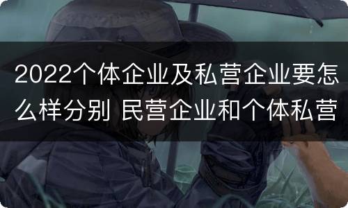 2022个体企业及私营企业要怎么样分别 民营企业和个体私营