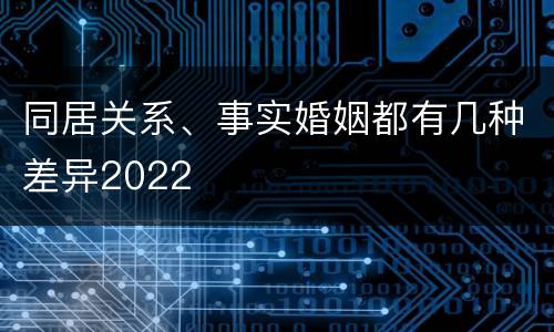 同居关系、事实婚姻都有几种差异2022