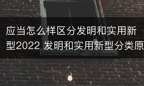应当怎么样区分发明和实用新型2022 发明和实用新型分类原则