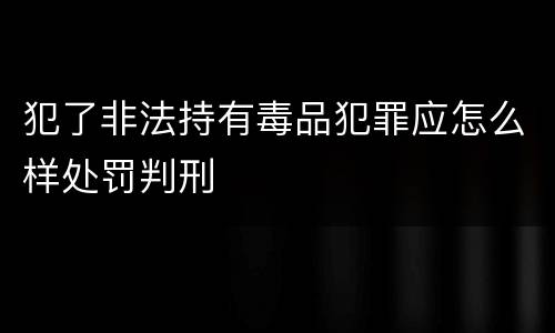 犯了非法持有毒品犯罪应怎么样处罚判刑