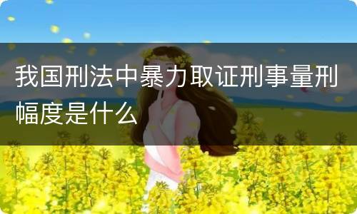 我国刑法中暴力取证刑事量刑幅度是什么