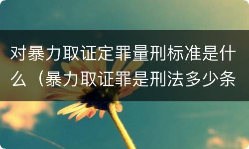 对暴力取证定罪量刑标准是什么（暴力取证罪是刑法多少条）