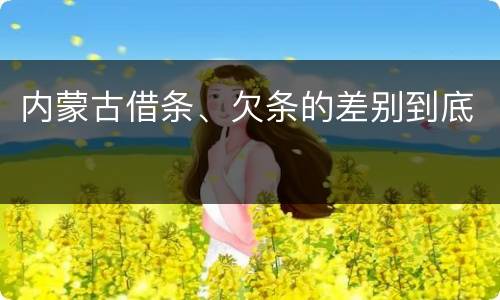 内蒙古借条、欠条的差别到底