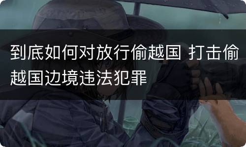 到底如何对放行偷越国 打击偷越国边境违法犯罪
