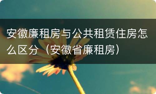安徽廉租房与公共租赁住房怎么区分（安徽省廉租房）