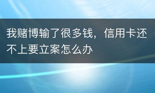 我赌博输了很多钱，信用卡还不上要立案怎么办