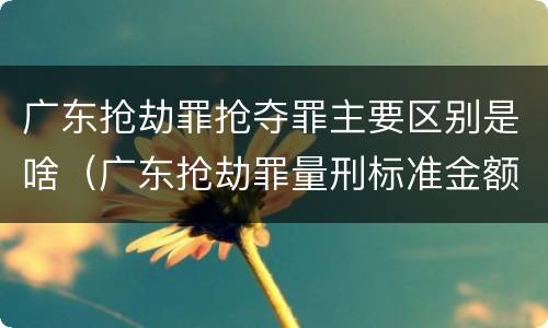 广东抢劫罪抢夺罪主要区别是啥（广东抢劫罪量刑标准金额）