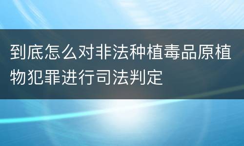到底怎么对非法种植毒品原植物犯罪进行司法判定