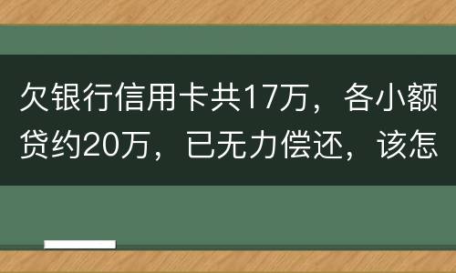 欠银行信用卡共17万，各小额贷约20万，已无力偿还，该怎么办