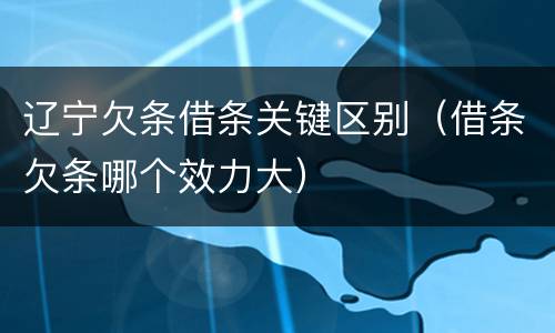 辽宁欠条借条关键区别（借条欠条哪个效力大）