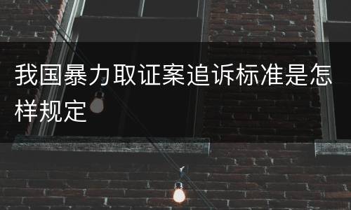 我国暴力取证案追诉标准是怎样规定